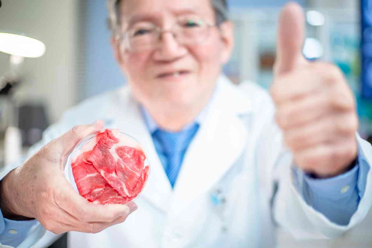 Carne sintetica in provetta, Credits iStockPhoto