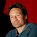david Duchovny-2607
