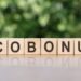 ECOBONUS word written on wooden cubes on blurred nature background.